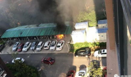 河南一小区爆料视频最新,业主维权引发关注，真相究竟如何？